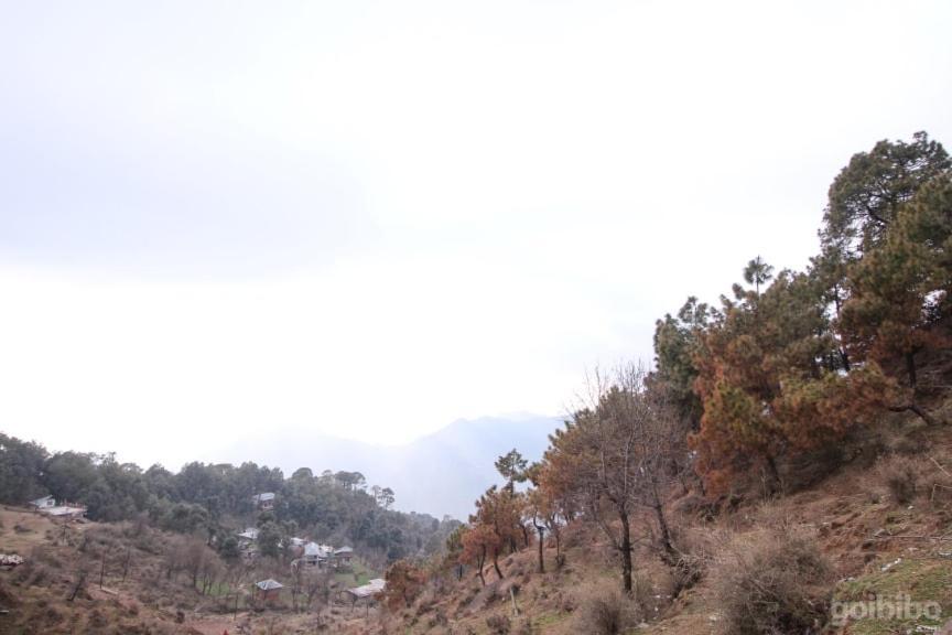 Dlx Stay In Naddi Dharamshala Exterior foto